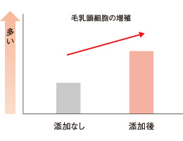 スカルプエッセンスによる毛乳頭細胞の活性化