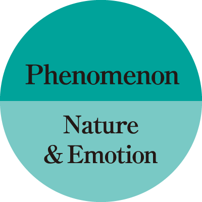 Phenomenon Nature & Emotion