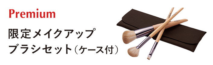 Premium 限定メイクアップブラシセット（ケース付）