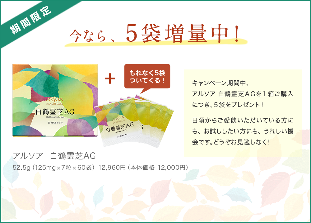 期間限定　今なら、5袋増量中！